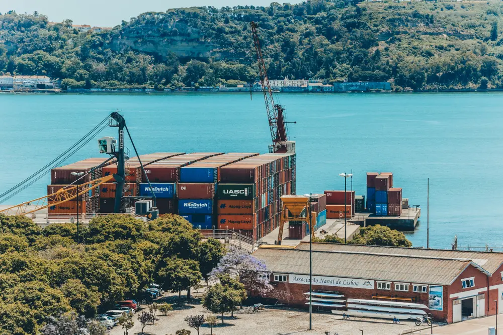 Terminal de contentores e o Tejo, vistos do alto por entre as árvores
