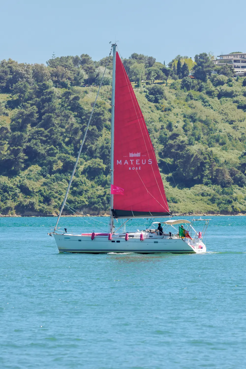 Veleiro ao largo com a vela cheia e a costa arborizada atrás