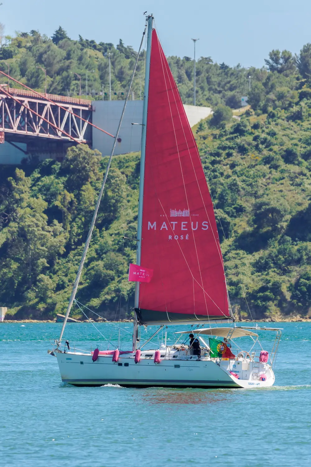 Veleiro em navegação, com a estrutura da ponte ao fundo