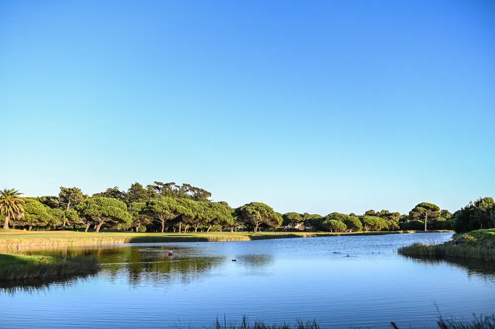 Lago do campo de golfe ao princípio da manhã